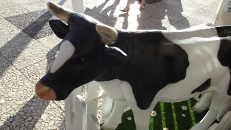 vache bio